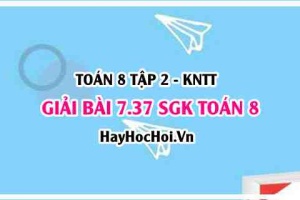 Bài 7.37 SGK Toán 8 Tập 2 Kết nối tri thức